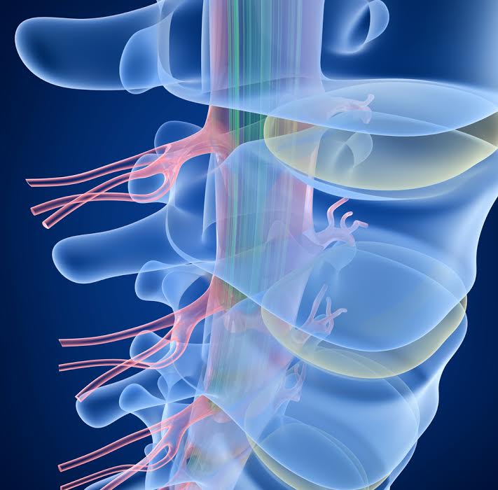 Spinal Cord Injury Lawyer